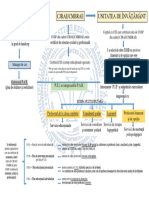 Infografic Copil Ces