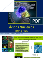 Estrutura Do DNA