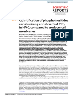 Quantification of Phosphoinositides Reveals Strong Enrichment of PIP in HIV-1 Compared To Producer Cell Membranes