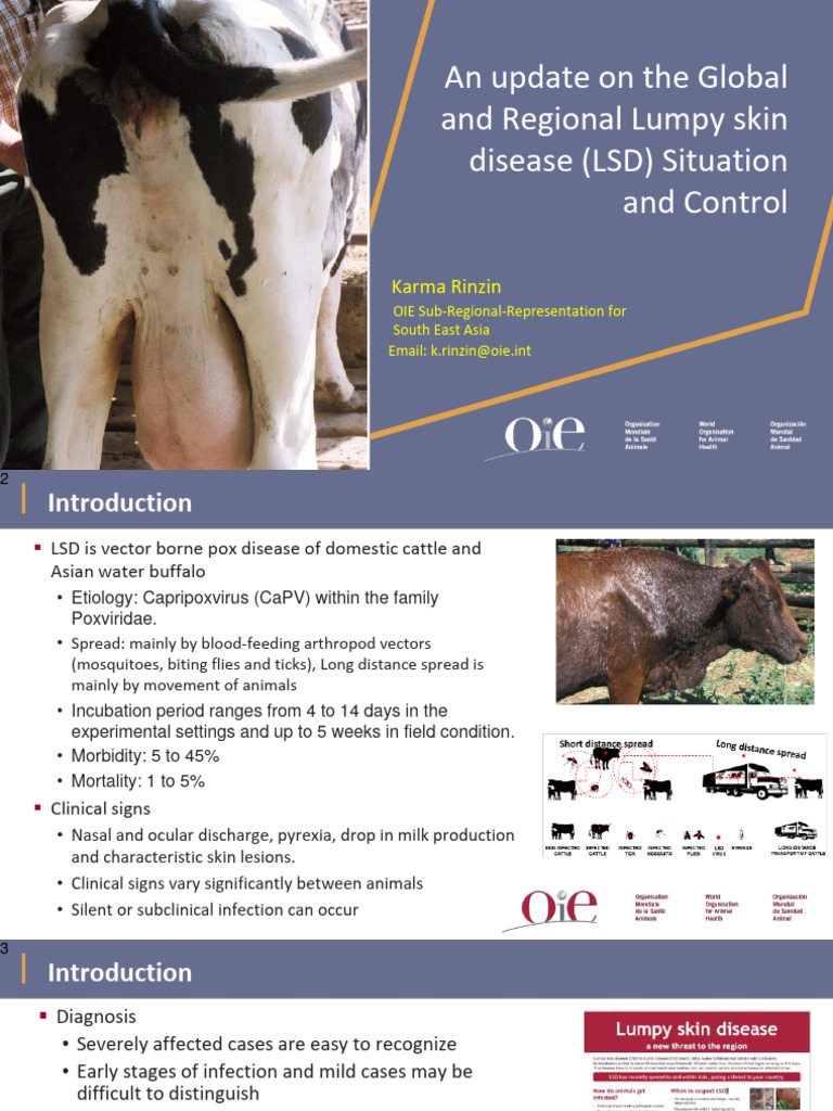 KR Global Regional LSD Situation Final | PDF | Microbiology | Immunology