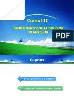 Cursul II Silvi 2015