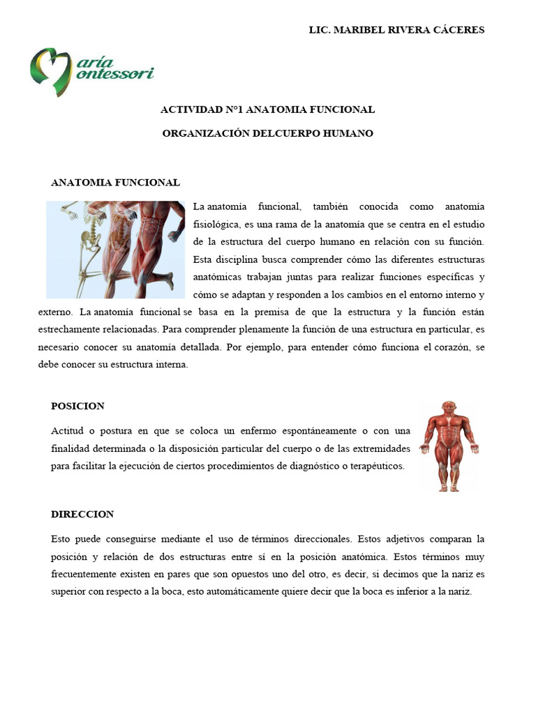 Anatomía Funcional del Cuerpo Humano | PDF | Términos anatómicos de ...