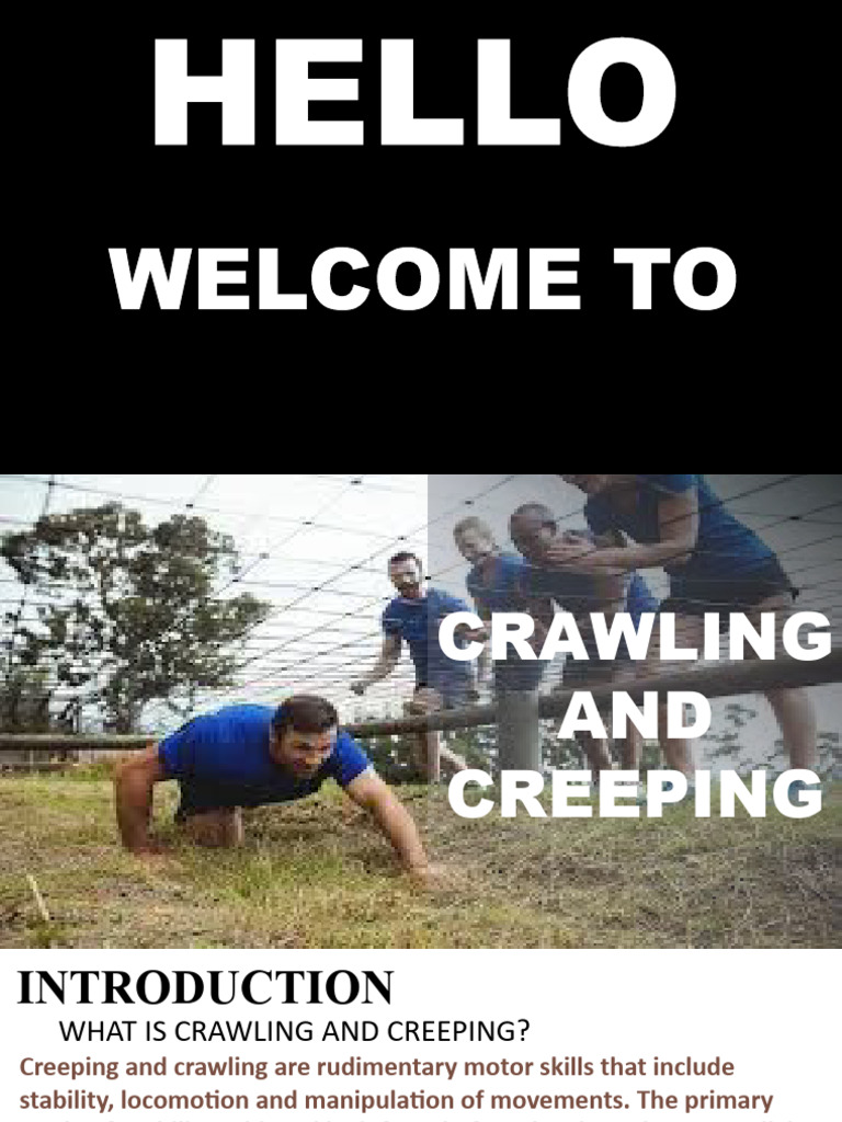 Crawling vs. Creeping: Key Differences | PDF | Perception | Human Anatomy