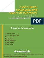 Caso Clínico Chocolate - Gary Choque Rivera 2019-110038