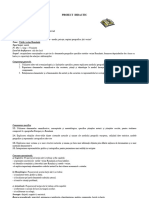 Proiect Didactic-12 Europa Si Romania Mediu Peisaje Regiuni Geografice Tari Vecine