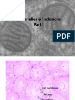 Cell Part 1