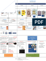 Sarcoptiformes - Tabela