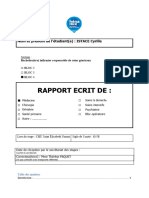 Rapport de Stage G5B ISTACE Cyrille 1