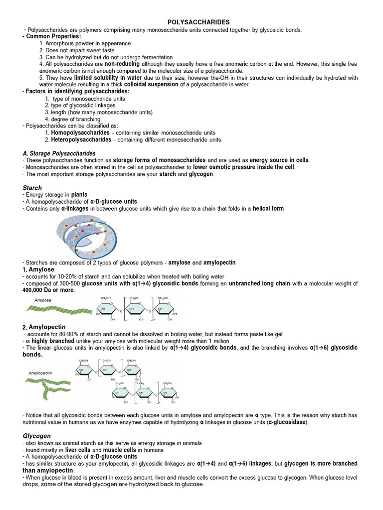 Polysaccharides Pdf Polysaccharide Glucose