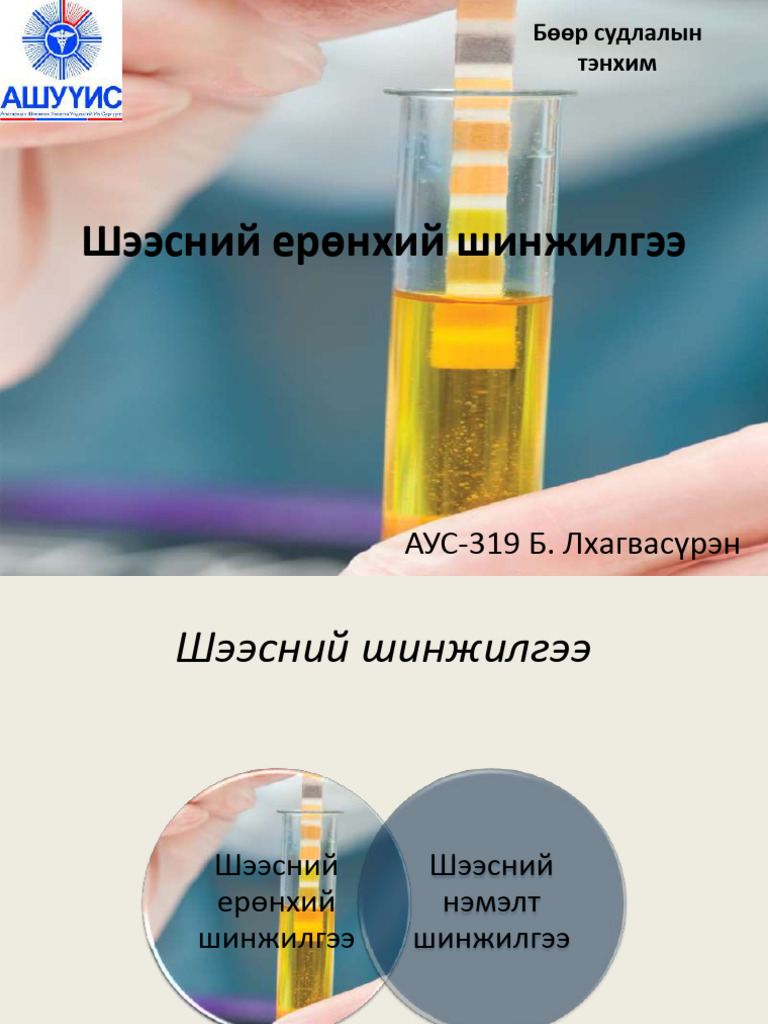 Шээсний шинжилгээ | PDF