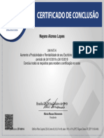 Certificado de Conclusão: Nayara Alonso Lopes