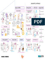 Endocrinology Pathology - 007) Cushing's Syndrome (Illustrations - Key)