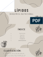 Lípidos, Digestión, Absorción, Transporte y Almacenamiento