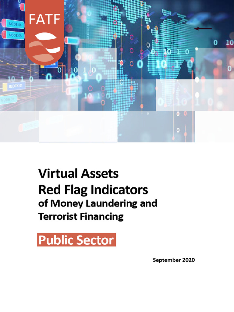 Handout Red Flags Va Public Sector Pdf Money Laundering Terrorism