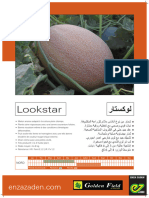 Poster Algerije Lookstar 2019-1-5