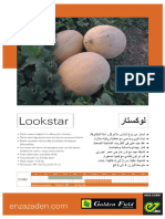 Poster Algerije Lookstar 2019-1-5 - Page-0004
