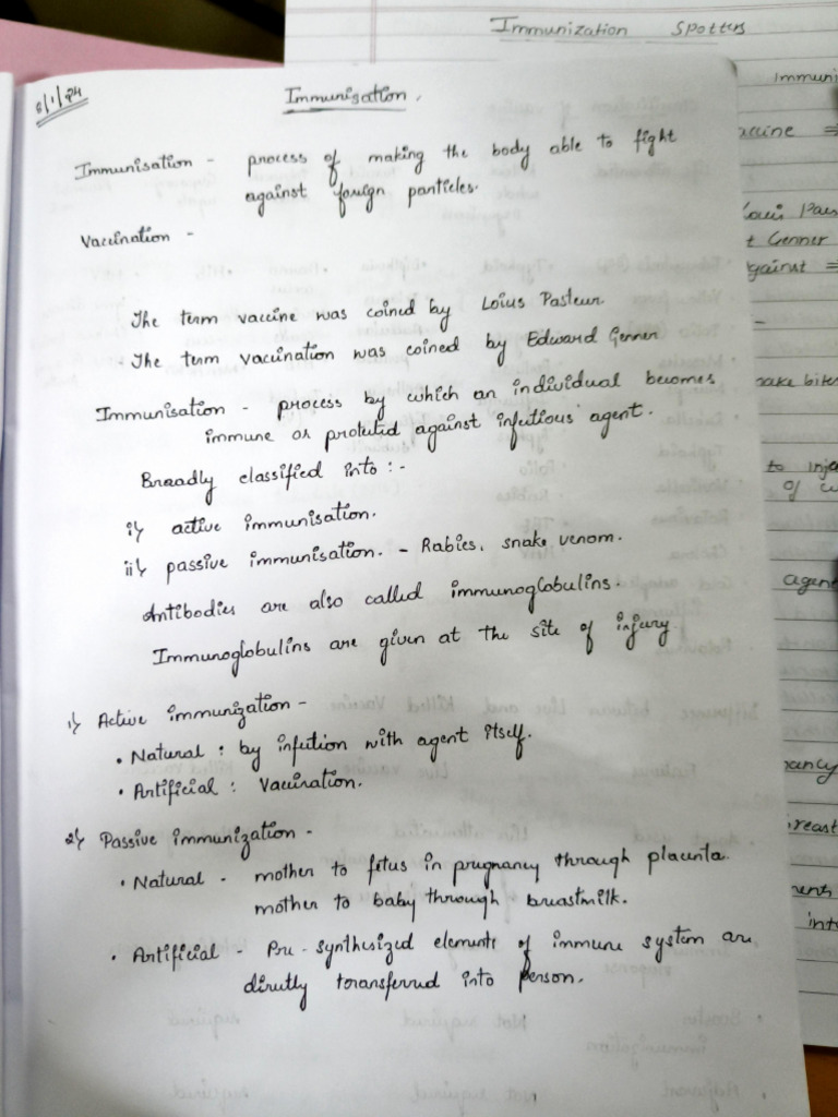 Immunization Notes | PDF
