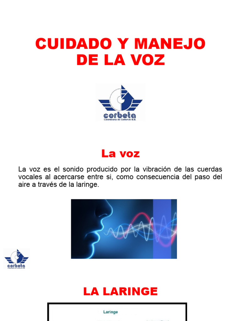 Presentación2 Manejo y Cuidado de La Voz | PDF | Sonido | Habla