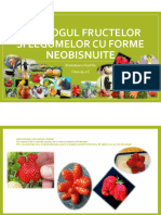 Catalogul Fructelor Si Legumelor Cu Forme Neobisnuite
