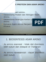 Metabolisme Protein Dan Asam Amino