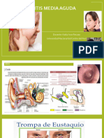 Otitis Media Aguda Exposicion 2023