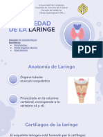 Enfermedad de La Laringe Grupo 2