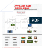 Actividades para Octavo Noveno y Decimo Del Dia Jueves