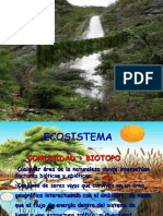 Ecosistema PPT 2