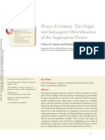 Flower Evolution The Origin and Subsequent Diversification of The Angiosperm Flower