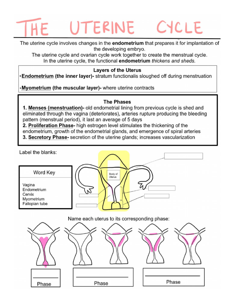 Teaching Tool Activity 3 | PDF