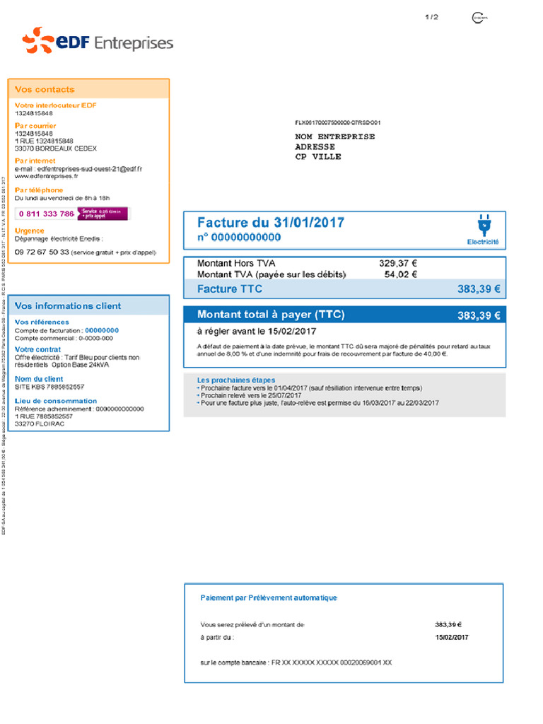 Facture Pro Edf Tarif Bleu 1 PDF