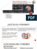 NEUROBIOLOGIA Diapositivas Cerebro FCHE2