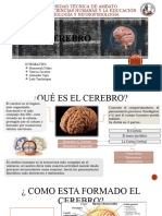 NEUROBIOLOGIA Diapositivas Corregido