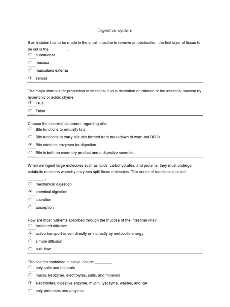 Journey through the digestive system essay picture