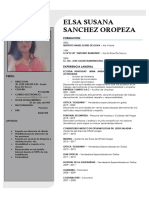 Curriculum Vitae