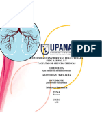 Introducción A La Anatomía