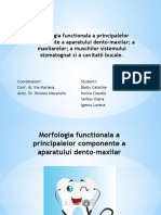 Morfologia Functionala A Principalelor Componente A Aparatului Dento Functional