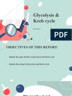 Biology Group 5 (Glycolysis & Kreb Cycle)