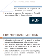 Computerized Auditing