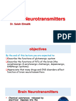 26brain Neurotransmitters-18