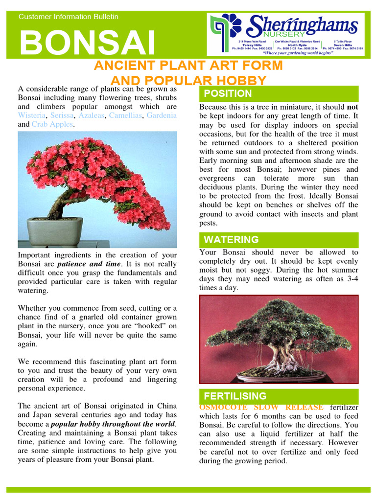 How To Plant And Grow Bonsai Pdf Trees Bonsai