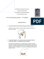 Cuestionario Embriologia de La Cara