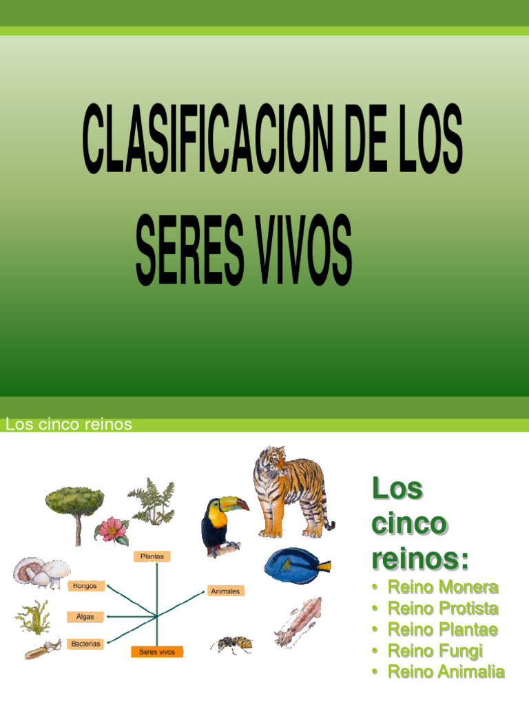 00 - Los Cinco Reinos | PDF | Plantas | Hongo