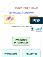 Parasitos Intestinales Humanos