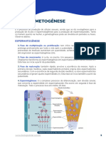 BIO AP Citogenética Gametogênese