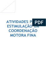 Coordenação Motora Fina