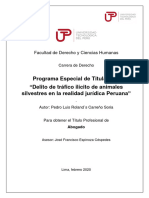 Pedro Carreño - Trabajo de Suficiencia Profesional - Titulo Profesional - 2020