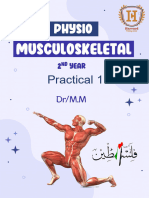 Practical Physio MSK 1 (