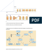 Actividades Micro