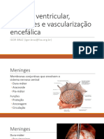 Sistema Ventricular, Meninges e Vascularização Encefálica